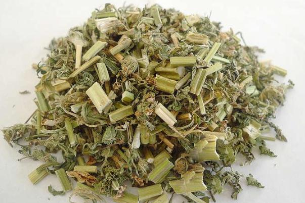 益母草可以催月經(jīng)嗎 益母草催經(jīng)吃幾天 益母草可以催月經(jīng)嗎 益母草催經(jīng)吃幾天