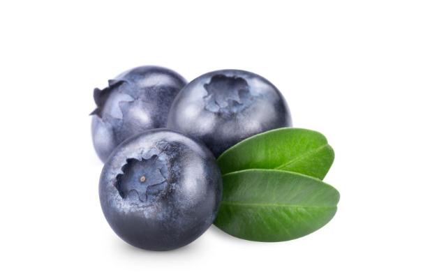 藍莓可以放幾天 藍莓放冰箱可以放多久 藍莓可以放幾天 藍莓放冰箱可以放多久