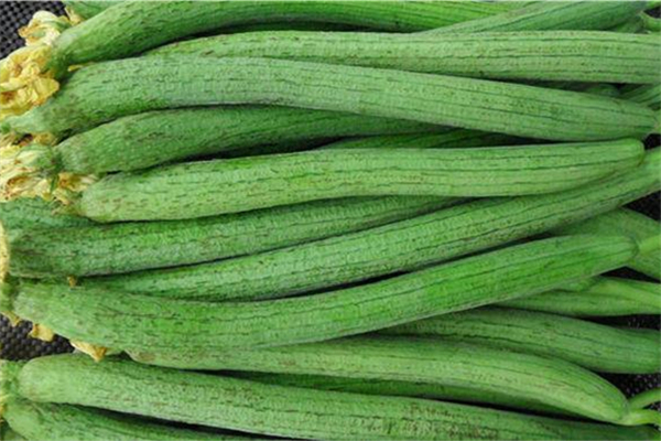 絲瓜放冰箱凍傷了還能吃嗎 絲瓜放冰箱可以放幾天 絲瓜放冰箱凍傷了還能吃嗎 絲瓜放冰箱可以放幾天