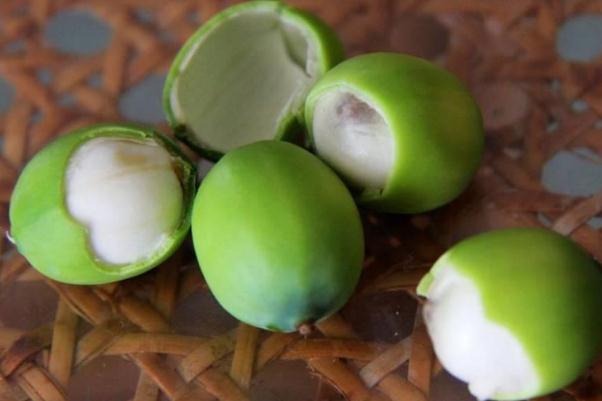 蓮子泡水喝的功效 蓮子的食用禁忌 蓮子泡水喝的功效 蓮子的食用禁忌