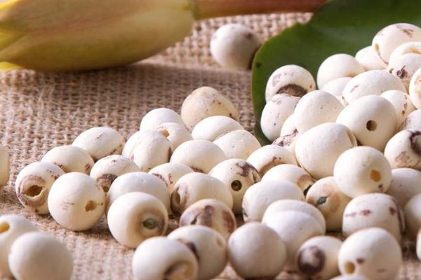 蓮子對肝臟有好處嗎 蓮子對心臟有好處嗎 蓮子對肝臟有好處嗎 蓮子對心臟有好處嗎