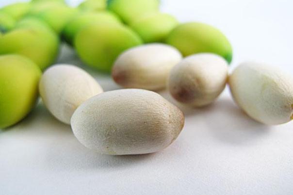 蓮子對(duì)胃有好處嗎 胃不好能吃蓮子嗎 蓮子對(duì)胃有好處嗎 胃不好能吃蓮子嗎