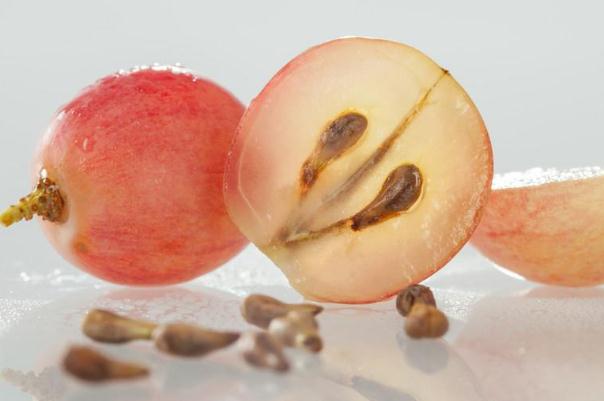 葡萄籽什么時候吃最好 葡萄籽一天吃幾粒 葡萄籽什么時候吃最好 葡萄籽一天吃幾粒