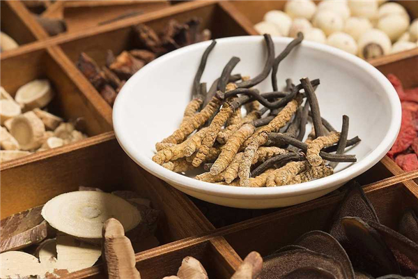 蟲(chóng)草一次吃多少合適 蟲(chóng)草吃多了有什么危害 蟲(chóng)草一次吃多少合適 蟲(chóng)草吃多了有什么危害