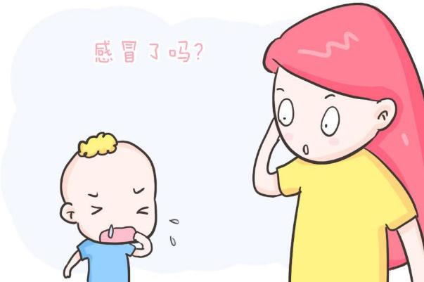 嬰兒感冒能打預(yù)防針嗎 嬰兒感冒可以吹空調(diào)嗎 嬰兒感冒能打預(yù)防針嗎 嬰兒感冒可以吹空調(diào)嗎