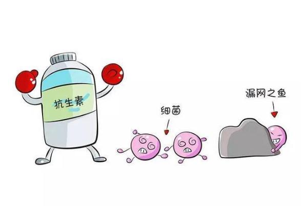 抗生素是激素嗎 抗生素是什么藥 抗生素是激素嗎 抗生素是什么藥