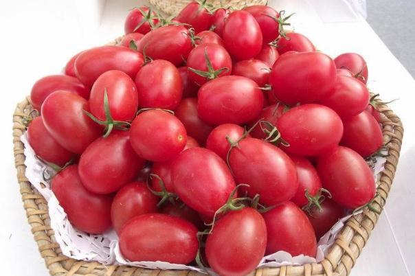 圣女果孕婦可以吃嗎 圣女果孕婦吃多了好嗎 圣女果孕婦可以吃嗎 圣女果孕婦吃多了好嗎