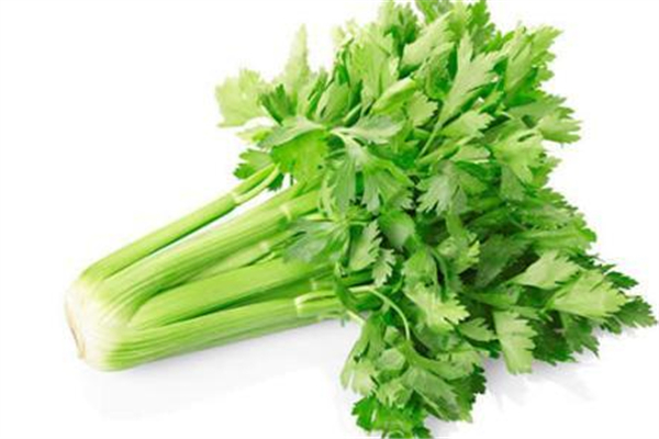 芹菜可以生吃嗎 芹菜生吃有毒嗎 芹菜可以生吃嗎 芹菜生吃有毒嗎