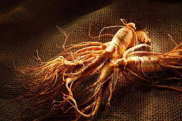 人參對皮膚功效及作用 肺部結(jié)節(jié)可以吃人參嗎 人參對皮膚功效及作用 肺部結(jié)節(jié)可以吃人參嗎