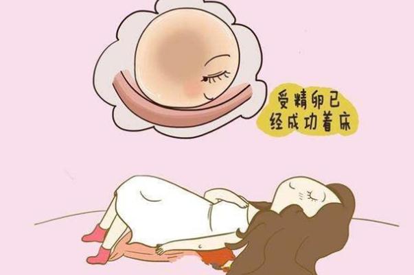 備孕為什么要測(cè)卵泡 備孕什么時(shí)候去測(cè)卵泡 備孕為什么要測(cè)卵泡 備孕什么時(shí)候去測(cè)卵泡