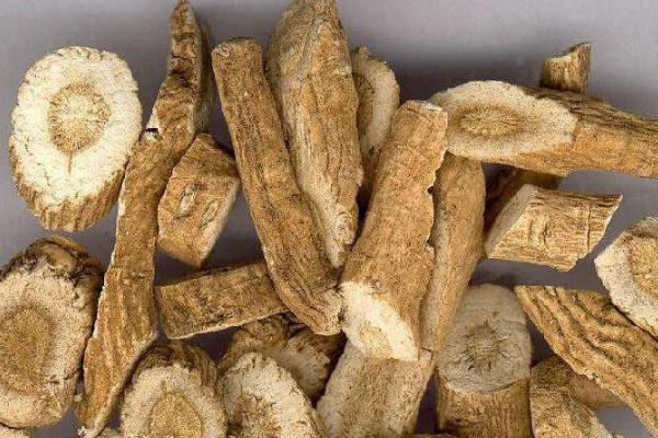 板藍根是風寒還是風熱 板藍根是消炎藥嗎