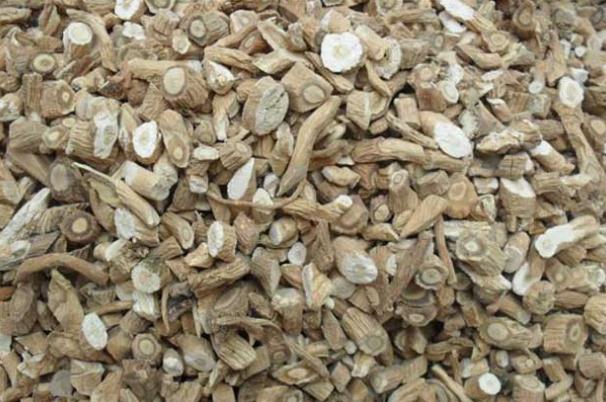 板藍根會使血糖升高嗎 板藍根對感冒有效嗎 板藍根會使血糖升高嗎 板藍根對感冒有效嗎