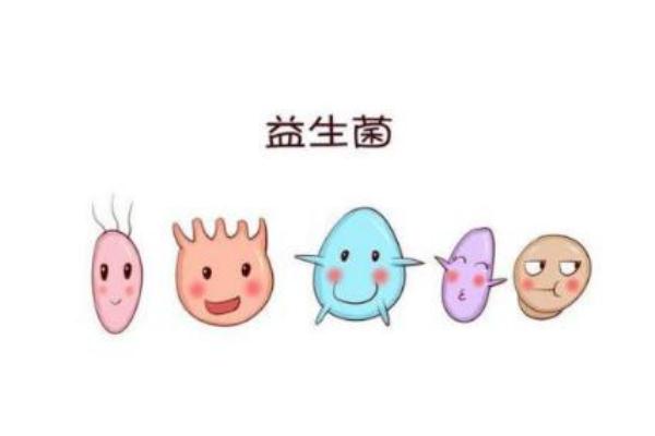 益生菌的作用與功效 益生菌一般吃多長時(shí)間