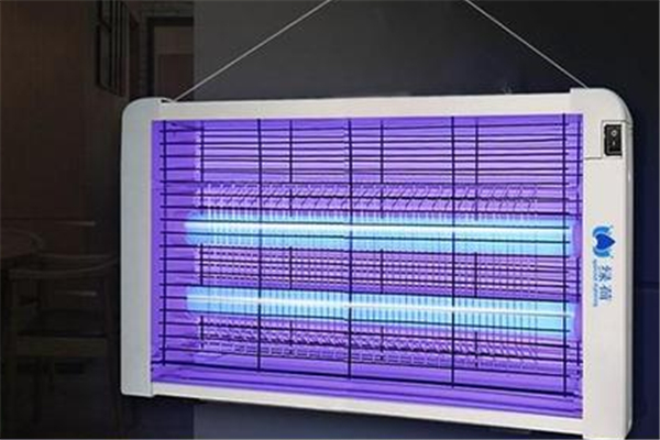 滅蚊燈可以滅小飛蟲嗎 滅蚊燈可以滅蒼蠅嗎 滅蚊燈可以滅小飛蟲嗎 滅蚊燈可以滅蒼蠅嗎