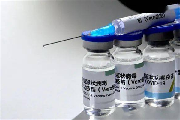 阿莫西林過敏能打新冠疫苗嗎 吃阿莫西林能打新冠疫苗嗎 阿莫西林過敏能打新冠疫苗嗎 吃阿莫西林能打新冠疫苗嗎