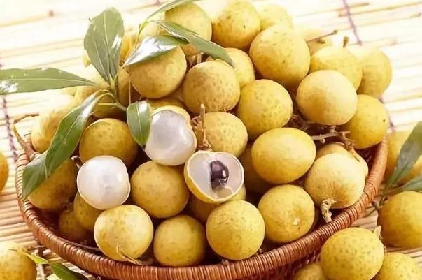 龍眼會(huì)發(fā)胖嗎 龍眼減肥期間可以吃嗎 龍眼會(huì)發(fā)胖嗎 龍眼減肥期間可以吃嗎