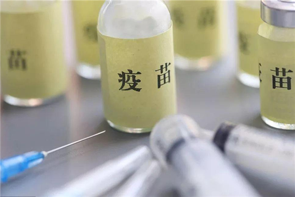 新冠疫苗第二針預(yù)約單丟了怎么辦 新冠疫苗第二針沒(méi)打可以重新打第一針嗎 新冠疫苗第二針預(yù)約單丟了怎么辦 新冠疫苗第二針沒(méi)打可以重新打第一針嗎