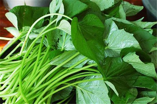 紅薯葉可以和雞蛋一起吃嗎 紅薯葉和什么搭配吃最好 紅薯葉可以和雞蛋一起吃嗎 紅薯葉和什么搭配吃最好