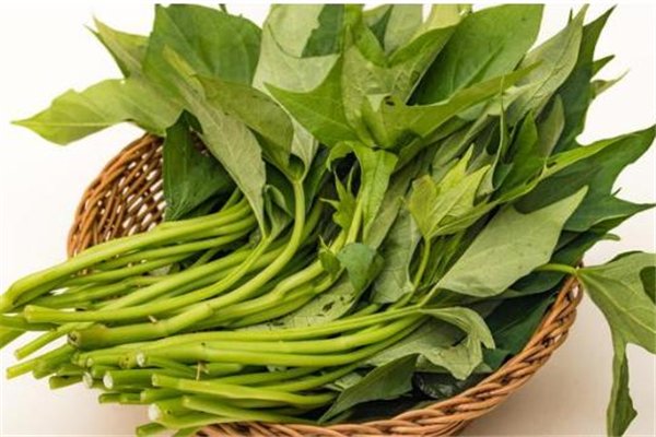 紅薯葉什么季節(jié)吃最好 紅薯葉怎么挑選才嫩 紅薯葉什么季節(jié)吃最好 紅薯葉怎么挑選才嫩
