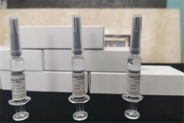 新冠疫苗第一針和第二針必須同一個(gè)廠家嗎 新冠疫苗第一針和第二針的區(qū)別 新冠疫苗第一針和第二針必須同一個(gè)廠家嗎 新冠疫苗第一針和第二針的區(qū)別