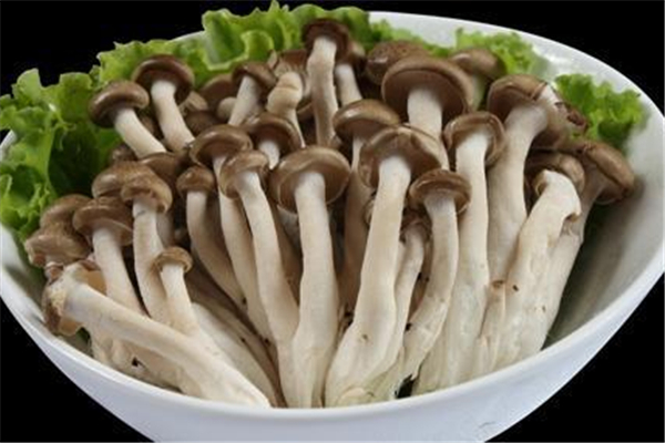 蟹味菇為什么叫這個(gè)名字 蟹味菇有螃蟹的味道嗎 蟹味菇為什么叫這個(gè)名字 蟹味菇有螃蟹的味道嗎