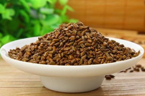 決明子對月經(jīng)有影響嗎 決明子對人體有什么好處 決明子對月經(jīng)有影響嗎 決明子對人體有什么好處