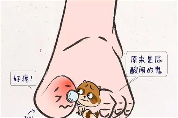 尿酸高可以吃小龍蝦嗎 尿酸高可以吃什么肉 尿酸高可以吃小龍蝦嗎 尿酸高可以吃什么肉