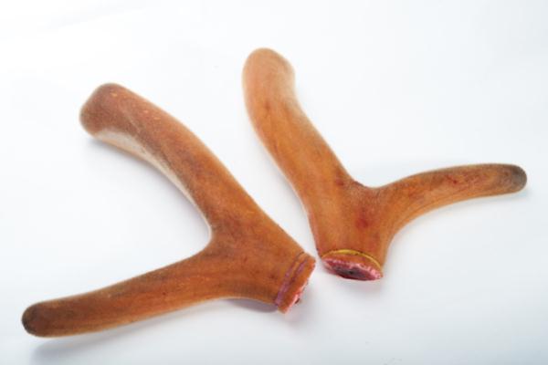 鹿茸片有什么用 鹿茸片有保質期嗎 鹿茸片有什么用 鹿茸片有保質期嗎