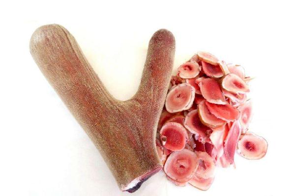 鹿茸的功效與作用吃法 鹿茸如何吃可以壯陽