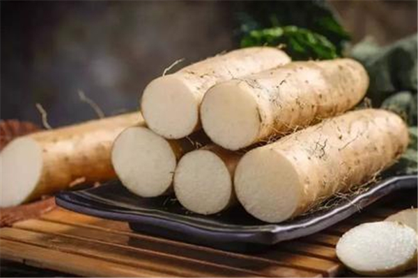 山藥補(bǔ)腎效果好嗎 山藥怎么吃補(bǔ)腎效果最好 山藥補(bǔ)腎效果好嗎 山藥怎么吃補(bǔ)腎效果最好