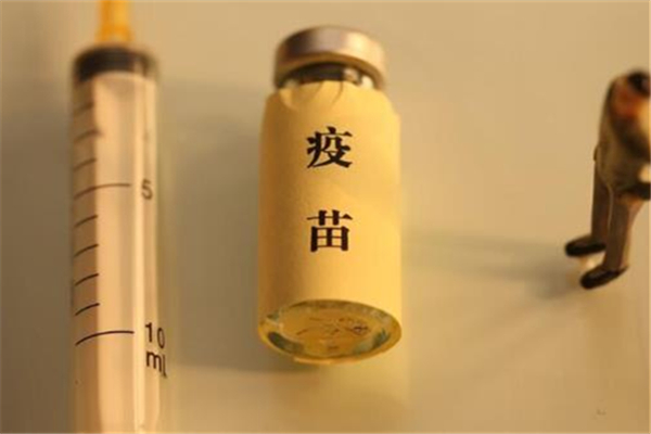 新冠疫苗接種信息在哪查詢 新冠疫苗接種信息多久能查到 新冠疫苗接種信息在哪查詢 新冠疫苗接種信息多久能查到