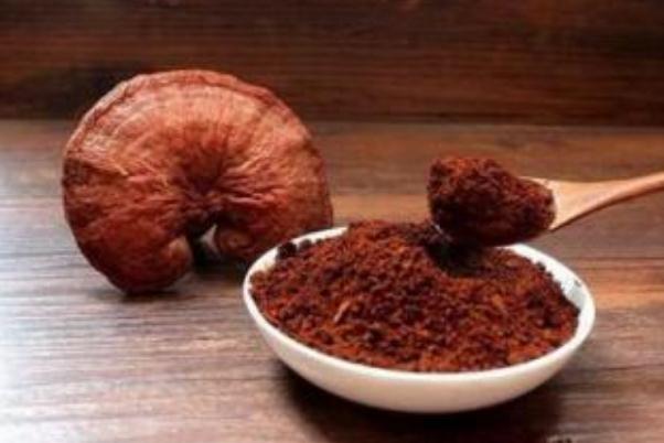 靈芝可以治療癌癥嗎 吃靈芝對(duì)脂肪肝有沒有好處