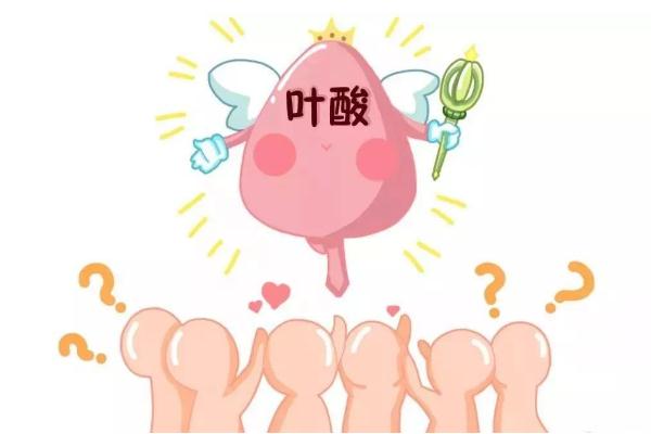 葉酸對(duì)身體有什么好處 葉酸對(duì)備孕有什么幫助 葉酸對(duì)身體有什么好處 葉酸對(duì)備孕有什么幫助