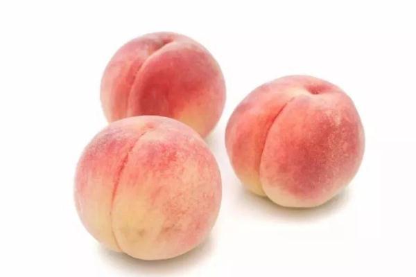 水蜜桃對胃好嗎 胃不好的人能吃水蜜桃嗎 水蜜桃對胃好嗎 胃不好的人能吃水蜜桃嗎