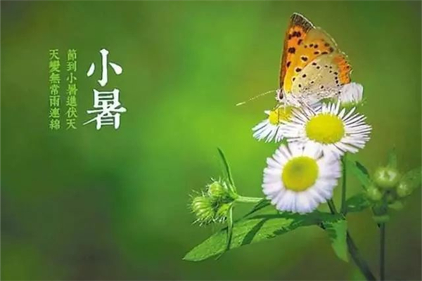 小暑有雨有什么說(shuō)法 小暑有什么活動(dòng) 小暑有雨有什么說(shuō)法 小暑有什么活動(dòng)