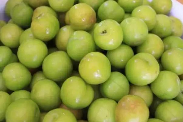 吃李子血糖會(huì)升高嗎 血糖高能吃李子嗎 吃李子血糖會(huì)升高嗎 血糖高能吃李子嗎