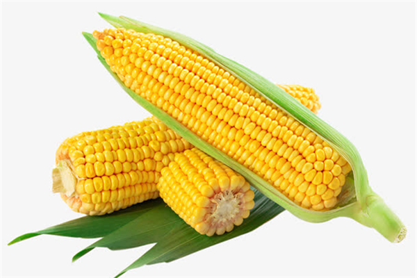 玉米煮多久會(huì)熟 玉米煮的好吃還是蒸的