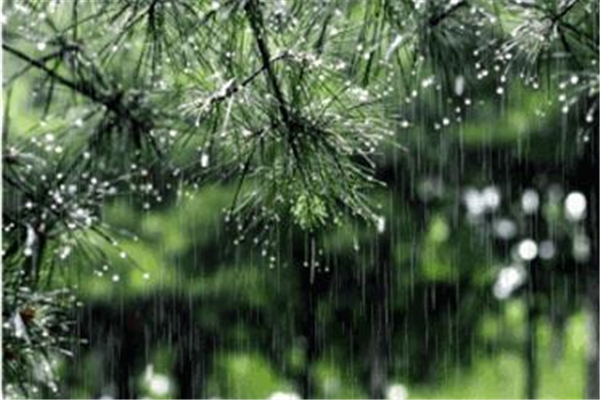 梅雨季節(jié)家里潮濕是開(kāi)窗還是關(guān)窗 梅雨季節(jié)要注意什么 梅雨季節(jié)家里潮濕是開(kāi)窗還是關(guān)窗 梅雨季節(jié)要注意什么