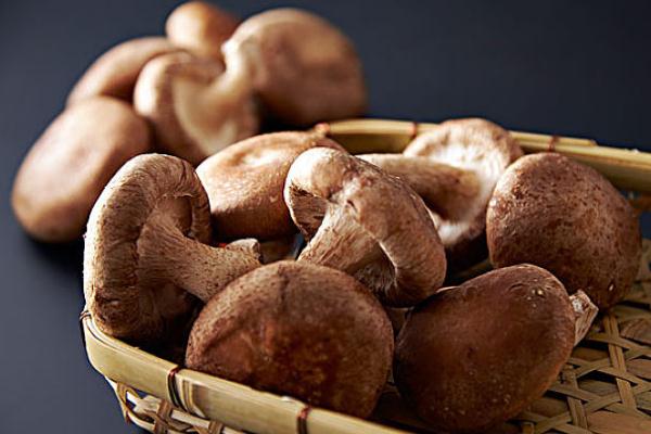 香菇有毒性嗎 新鮮香菇不過(guò)水有毒嗎