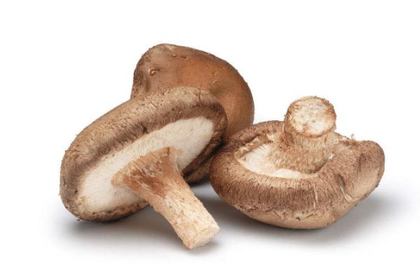 吃香菇過敏是什么癥狀 吃香菇過敏是什么原因 吃香菇過敏是什么癥狀 吃香菇過敏是什么原因