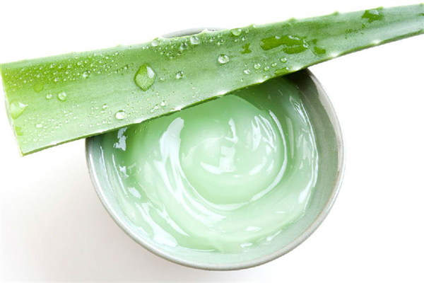 蘆薈膠可以天天抹在臉上嗎 蘆薈膠的正確用法 蘆薈膠可以天天抹在臉上嗎 蘆薈膠的正確用法