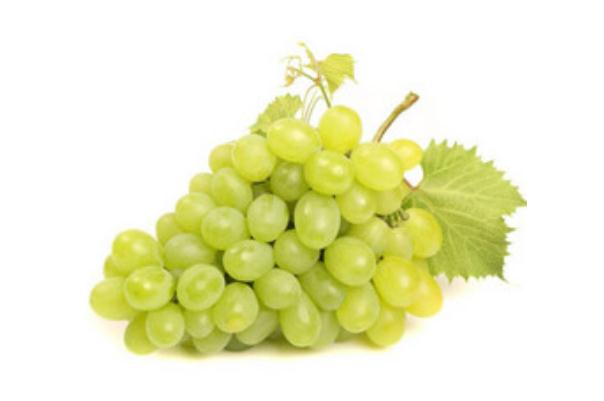 青提子的功效與作用 吃青提有哪些好處 青提子的功效與作用 吃青提有哪些好處