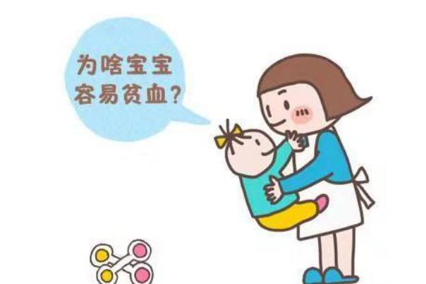 嬰兒缺鐵會(huì)有什么影響 嬰兒缺鐵會(huì)出現(xiàn)什么癥狀 嬰兒缺鐵會(huì)有什么影響 嬰兒缺鐵會(huì)出現(xiàn)什么癥狀