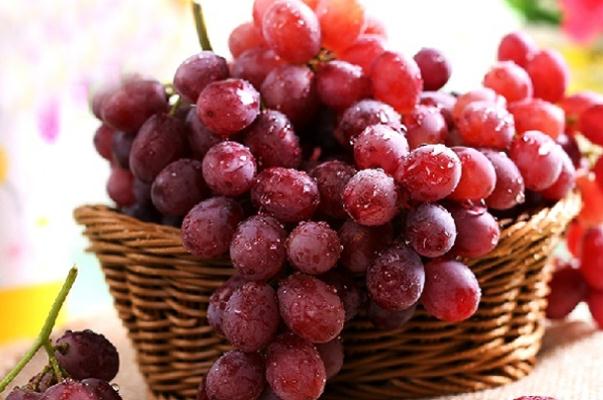 吃紅提對(duì)身體有什么好處 吃提子的好處是什么 吃紅提對(duì)身體有什么好處 吃提子的好處是什么