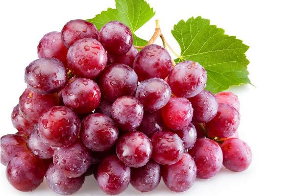 紅提是葡萄嗎 紅提和普通葡萄有什么區(qū)別 紅提是葡萄嗎 紅提和普通葡萄有什么區(qū)別