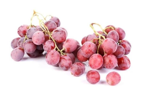 紅提可以做葡萄酒嗎 紅提怎么做葡萄酒 紅提可以做葡萄酒嗎 紅提怎么做葡萄酒