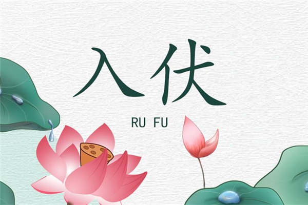 入伏要注意什么 入伏怎么養(yǎng)生 入伏要注意什么 入伏怎么養(yǎng)生