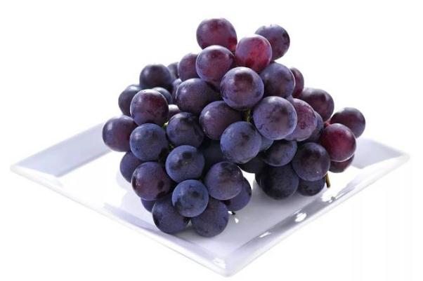 巨峰葡萄是涼性還是熱性 巨峰葡萄是哪里產的 巨峰葡萄是涼性還是熱性 巨峰葡萄是哪里產的