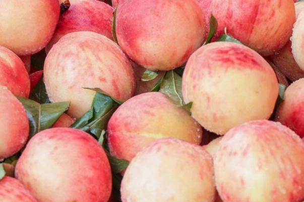 桃子要放冰箱儲(chǔ)存嗎 桃子要去皮去吃嗎 桃子要放冰箱儲(chǔ)存嗎 桃子要去皮去吃嗎