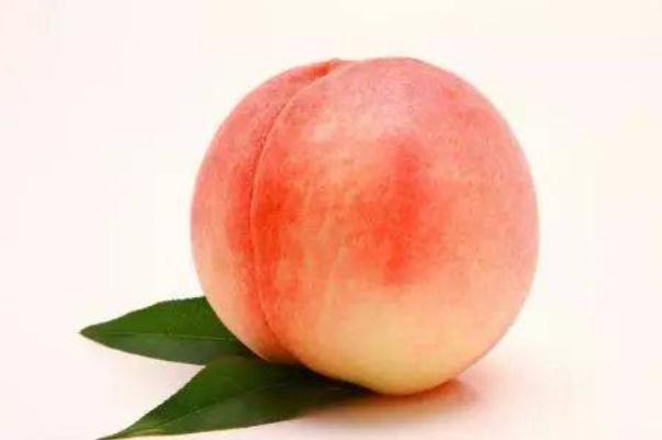 桃子的功效與作用營(yíng)養(yǎng) 桃子是涼性的還是熱性的 桃子的功效與作用營(yíng)養(yǎng) 桃子是涼性的還是熱性的